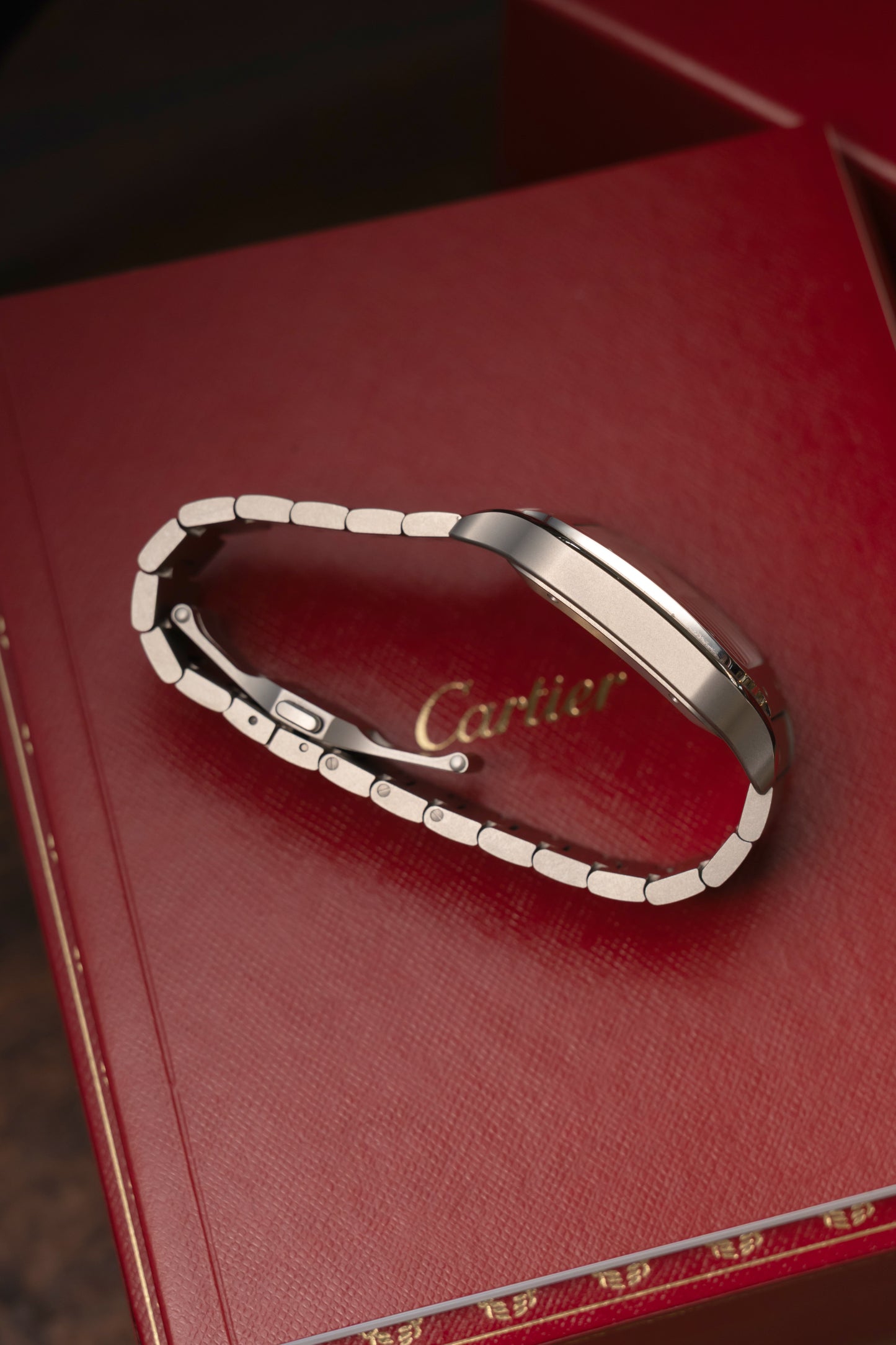 Cartier Santos Titanium