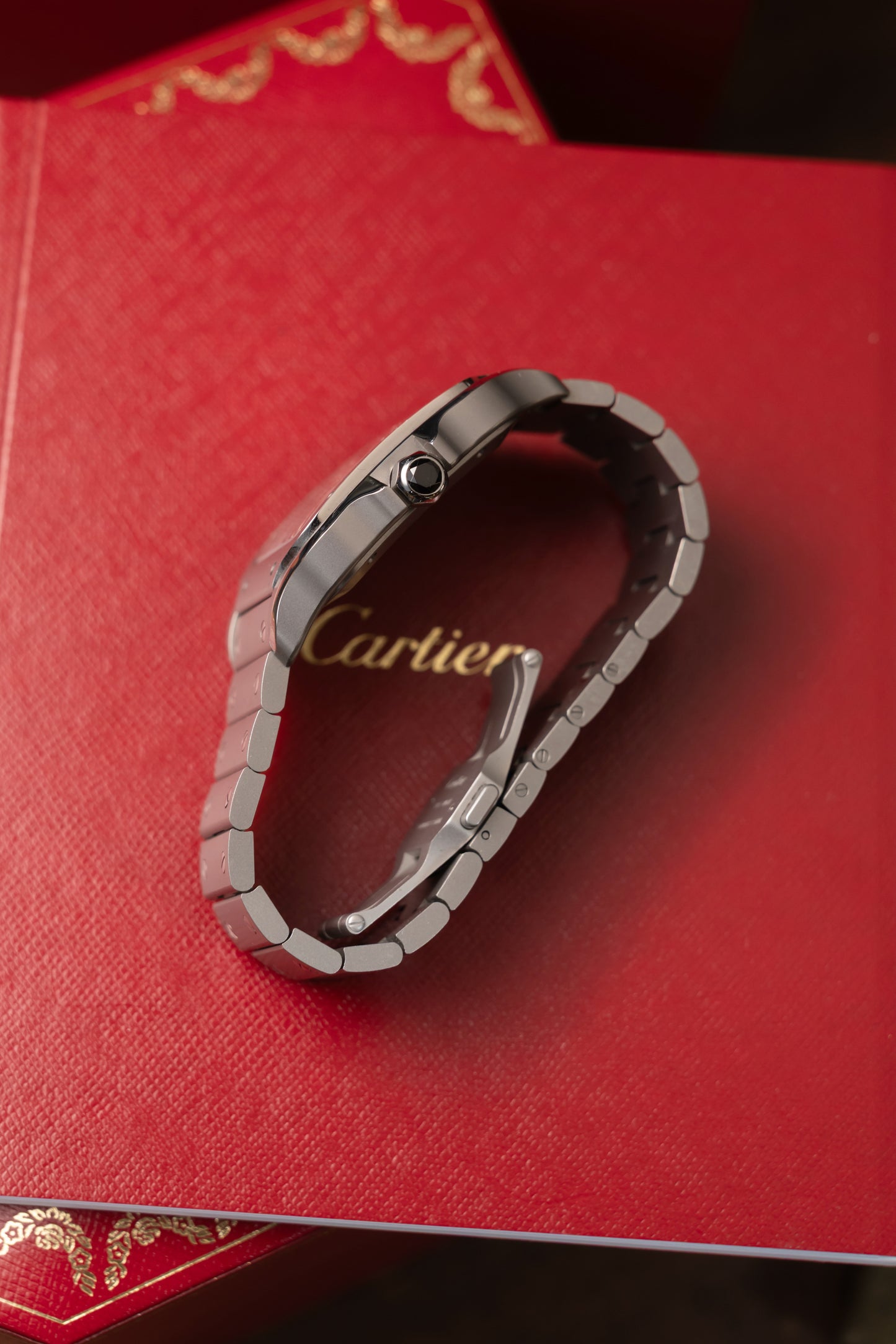 Cartier Santos Titanium